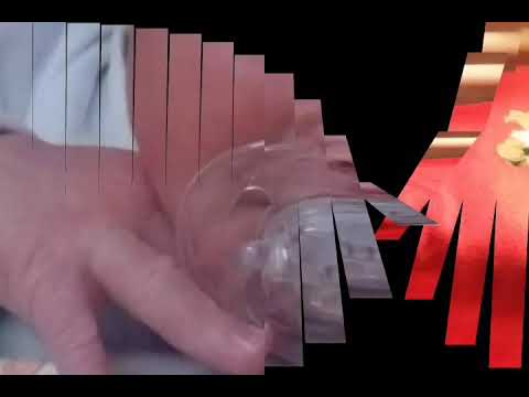 Kingstons Papuni 1st Birthday