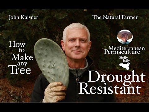 John Kaisner: Drought-Proofing Trees, Prickly Pear Secrets