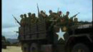 Where Have all the Flowers Gone?