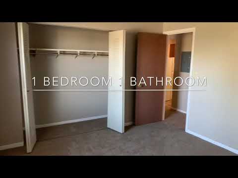 Spacious One Bedroom Apartment with W/D Connection! property video