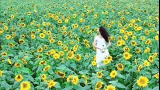 クラシエ HIMAWARI「2本のヒマワリ」尾野真千子