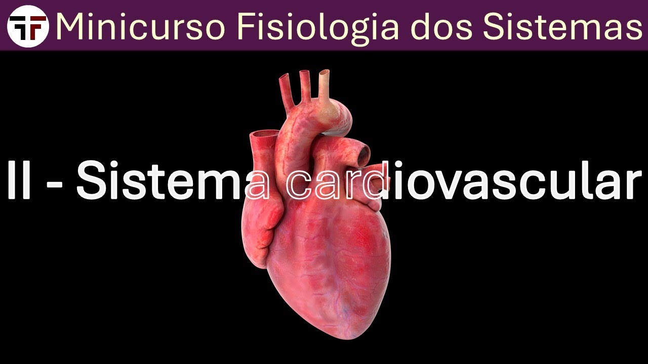 Fisiologia cardiovascular - Minicurso fisiologia dos sistemas