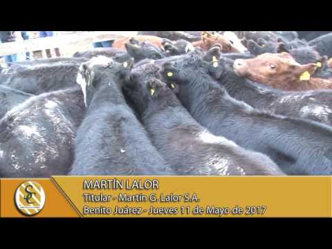11-05-17 Nota Martin Lalor - Martin G. Lalor S.A. - Benito Juárez