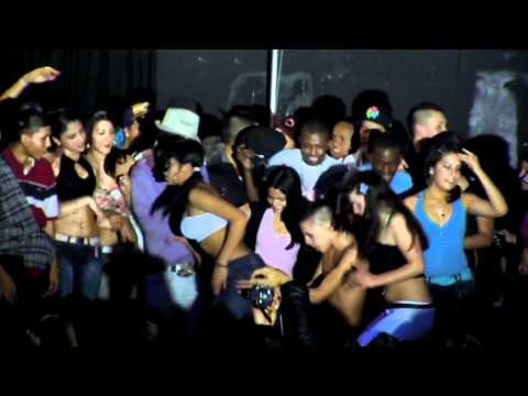 download lagu mp3 mp4 Bibliotk, download lagu Bibliotk gratis, unduh video klip Bibliotk