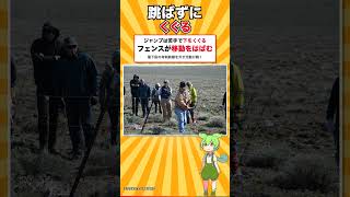 1万年前の幽霊から逃げ続けている動物 #shorts