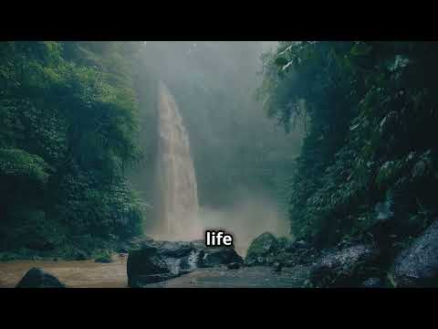 "10 Uplifting Philosophical Quotes About Happiness | Timeless Wisdom for a Joyful Life