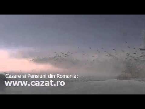 Cazare Tarnava, Dolj - Cazat.ro