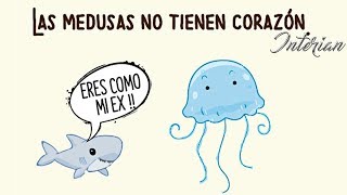 Top 5 Datos Curiosos De Animales - Jorge Tops