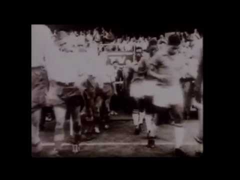 Botafogo: Grandes Ídolos / "Mr. Football" Didi - 2014