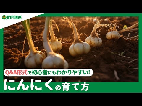 家庭菜園に関するよくある質問