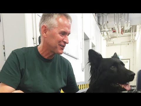 [Doku] Die Zoll Kontrolleure - Gepäckcheck am Flughafen