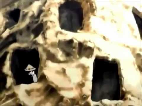 Detest_victim in pain