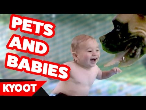 Pets Meet Babies for the First Time