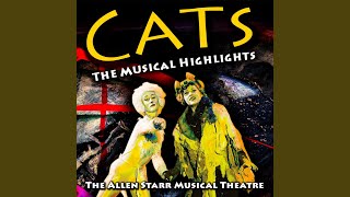 The Ad-Dressing of Cats