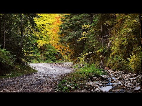 Cum am ajuns in satul Fundatica din Valea Cheii, Podul Dambovitei
