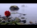 ღ Rose of England by Chris de Burgh (Lyrics on ...
