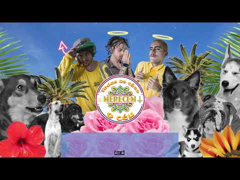 Pode Avisá - Todos os Cães Vão para o Céu (Prod. Leozin no Beat)