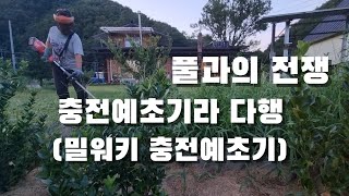 더이상은 못참아!! 오랜만에 예초기 듬. 밀워키 충전예초기. 풀과의 전쟁