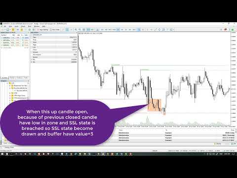 Video Buyside Sellside Liquidity and Voids