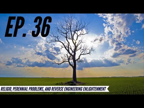 Ep. 36 - Awakening from the Meaning Crisis - Religio/Perennial Problems/Reverse Eng. Enlightenment