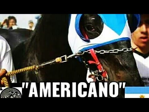 , title : 'AMERICANO - Hasta siempre CAMPEÓN!!'
