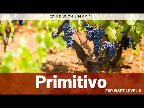 🍷 Primitivo (Zinfandel) for WSET Level 3🍷
