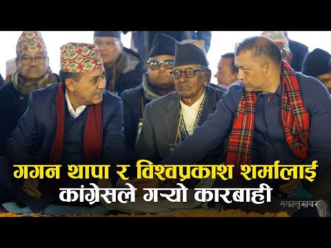 गगन र विश्वलाई ५ वर्षको कारबाही, कांग्रेसको साधारण सदस्य समेत रहेनन्