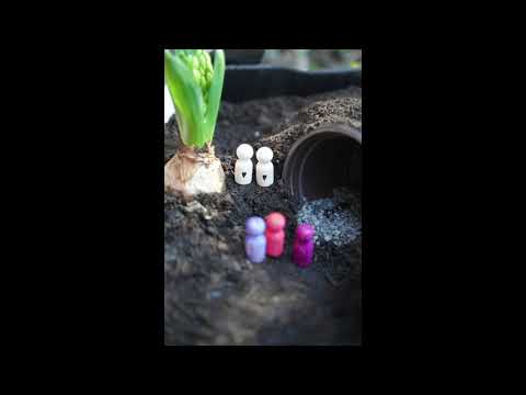 Die Ostergeschichte für Kinder erzählt im Blumenkreuz Teil 3 (Ostersonntag)