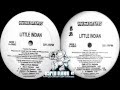Little Indian ‎ One Little Indian Full Vinyl 12 1995
