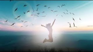 FREE  -  STEVIE WONDER