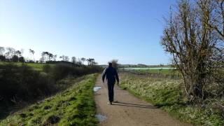 Beats medical - a demonstration