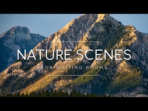 Waiting Room Video Loop | Nature Scenes, Professional Calm Ambience