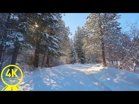 [4K 60fps] Scenic Drive through Eastern Washington, Wintertime Road Trip + Music - Part #1