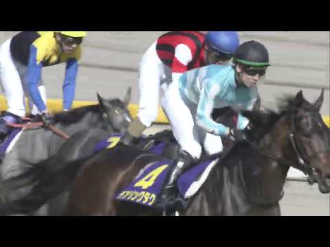 2020 Yushun Himba (Japanese Oaks) (G1)