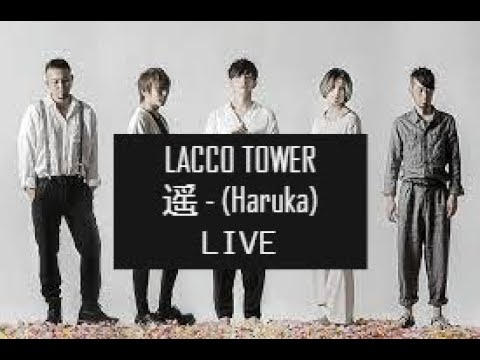 LACCO TOWER  -  遥「 Haruka 」 LIVE DVD (From "Dragon Ball Super")