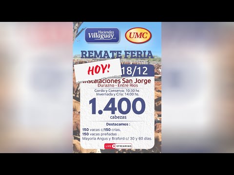 Durazno San Jorge - 1.400 cabezas