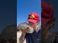 Rescuing HUGE Slimy Jellyfish Shorts
