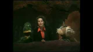 Ep 17 Kids Wildlife Warriors Orang-utan Open Heart Surgery | Storyteller Media