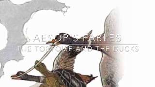 Aesop’s Fables The Tortoise and The Ducks narrated by Jon Wilkins