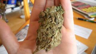 Uncle Kracker Corner Bar