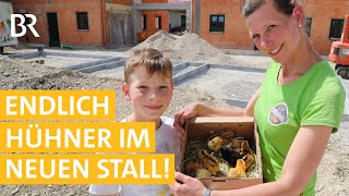 Hühnerhaltung: Küken am Pflüglerhof #16 | Mega Baustelle: Ein Bauernhof zieht um | Unser Land | BR