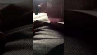 Process: Journal Pages