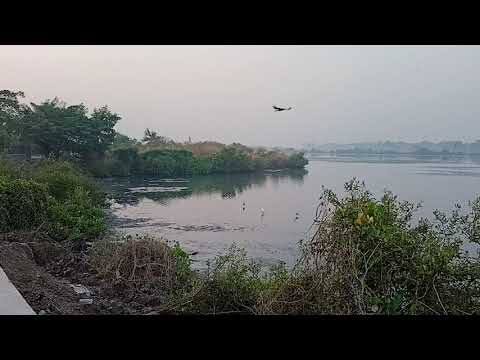 T S chanakya plam beach seawoods nerul