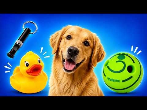 Unique Sound-Making Toys Dogs Love to Hear 🐶❤️