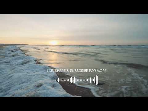 Simel Purpur - Double Tee Feat. Protii ice & Nasty Bee - STINGRAY RECORDS