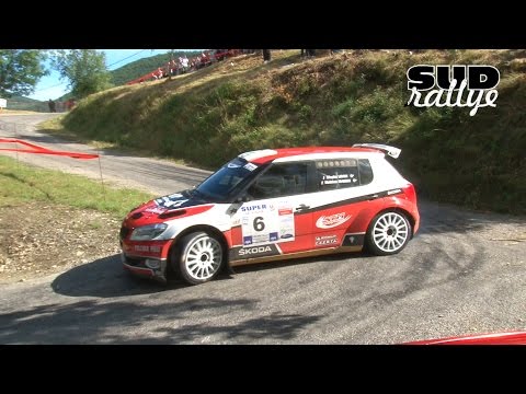 Rallye Du Pays Viganais 2015 (HD)