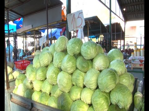 Koliko je isplativo prodavati kupus ?