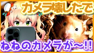 【桃鈴ねね】カメラ壊すって、それほんとにハムスター?!【ホロライブ切り抜き】