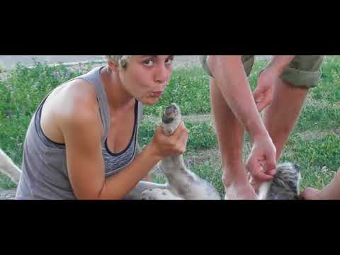 Camino de Santiago - Terradillo de Templarios to Calzada del Coto - Day Eighteen