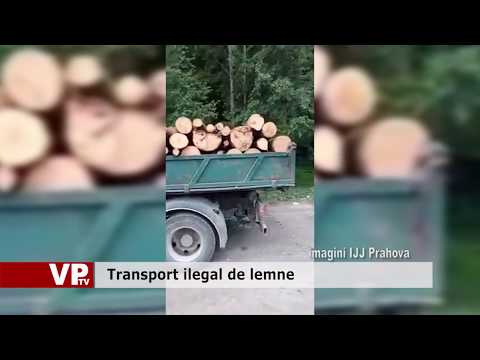 Transport ilegal de lemne